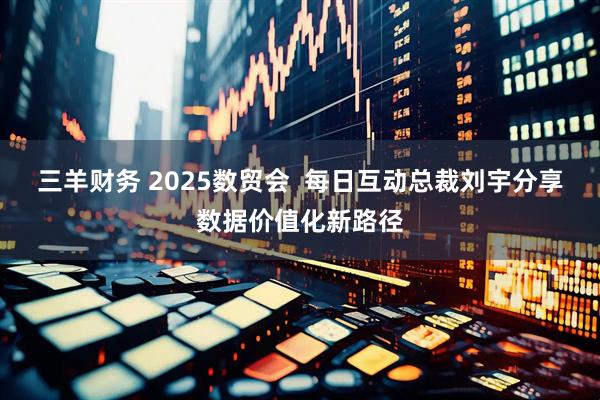 三羊财务 2025数贸会  每日互动总裁刘宇分享数据价值化新路径
